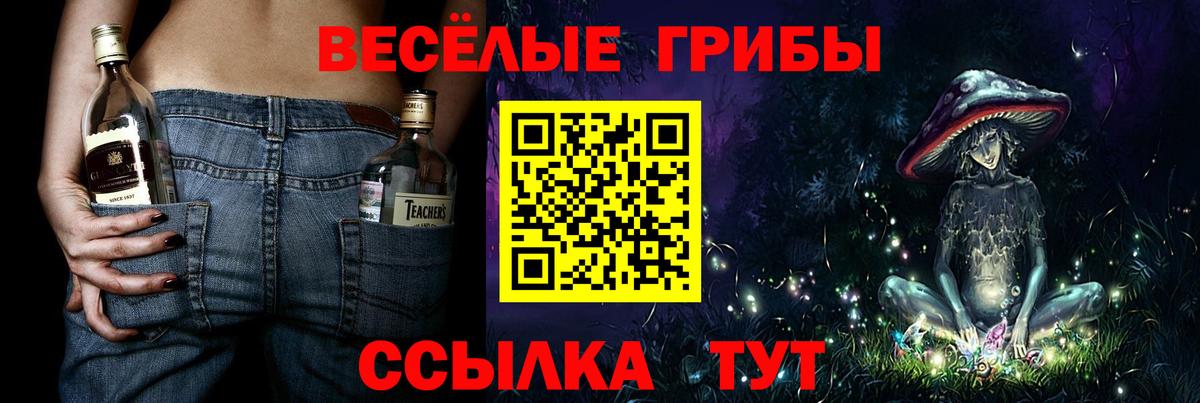 Псилоцибиновые грибы мицелий Кировск